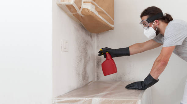 Professional Attic Mold Remediation technician working in Lawrence, NY